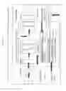 Fig. 02 - ACTIVE SOLUBLE POST-TRANSLATIONALLY MODIFIED NEUREGULIN ISOFORMS