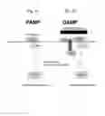 Fig. 06 - Methods of use of soluble CD24 for therapy of rheumatoid arthritis