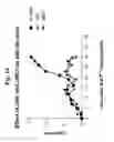 Fig. 22 - Pharmaceutical compositions containing polypeptides derived from α-1 antitrypsin and methods of use thereof