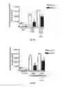 Fig. 07 - Treatment