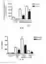 Fig. 08 - Treatment