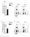 Fig. 28 - Treatment
