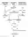 Fig. 02 - Complement component C5 antibodies