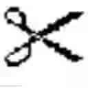 Fig. 02 - Internalizing ErbB2 antibodies