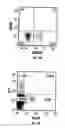 Fig. 03 - ANTI-MCAM ANTIBODIES AND ASSOCIATED METHODS OF USE