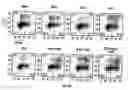 Fig. 05 - ANTI-MCAM ANTIBODIES AND ASSOCIATED METHODS OF USE