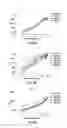 Fig. 44 - ANTI-MCAM ANTIBODIES AND ASSOCIATED METHODS OF USE