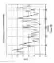 Fig. 41 - Antibodies and molecules derived therefrom that bind to STEAP-1 proteins