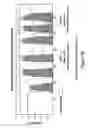 Fig. 58 - Antibodies and molecules derived therefrom that bind to STEAP-1 proteins