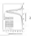 Fig. 02 - Carboxy-functionalized alternan