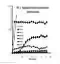 Fig. 02 - Hydrolytically stable functionalized polyphosphonate flame retardant