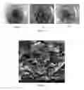 Fig. 02 - Biomimetic polymer for stabilizing wellbore and method for preparation of the same and drilling fluid