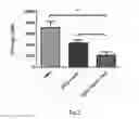 Fig. 02 - MODIFIED BCG STRAINS WITH REDUCED OR ELIMINATED ACTIVITY OF LSR2 AND PHARMACEUTICAL COMPOSITION COMPRISING SAME