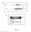 Fig. 04 - MODIFIED BCG STRAINS WITH REDUCED OR ELIMINATED ACTIVITY OF LSR2 AND PHARMACEUTICAL COMPOSITION COMPRISING SAME