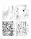 Fig. 09 - Rapid mincing of adipose tissues to isolate live cells in vitro