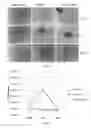 Fig. 02 - Media for culturing, preserving, and administering regenerative cells