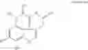 Fig. 43 - COMPOSITIONS AND METHODS FOR PROMOTING THE GENERATION OF DEFINITIVE ENDODERM