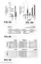 Fig. 13 - Induction of pluripotent cells