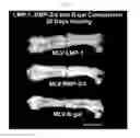 Fig. 07 - METHODS FOR ACCELERATING BONE REPAIR