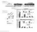Fig. 20 - Deducing Exon Connectivity by RNA-Templated DNA Ligation/Sequencing