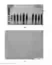 Fig. 02 - Recombinant RNA particles and methods of use