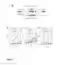 Fig. 02 - TROPHIC CONVERSION OF PHOTOAUTOTROPHIC BACTERIA FOR IMPROVED DIURNAL PROPERTIES