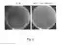Fig. 08 - Expanding the eukaryotic genetic code