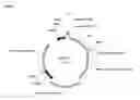 Fig. 02 - PCP2 Mini-Promoters