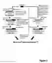 Fig. 03 - Baculoviral DNA elements for the expression of recombinant proteins in a host insect