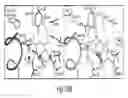 Fig. 40 - METHODS AND COMPOSITIONS FOR CELL-PROLIFERATION-RELATED DISORDERS