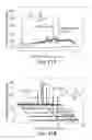 Fig. 43 - METHODS AND COMPOSITIONS FOR CELL-PROLIFERATION-RELATED DISORDERS