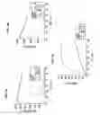 Fig. 09 - Detection of an amplification reaction product using pH-sensitive dyes