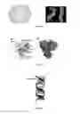 Fig. 03 - METHOD FOR OBTAINING AND DETECTING A MARKER OF OBJECTS TO BE IDENTIFIED, RELATED MARKER, AUTHENTICATION METHOD AND VERIFICATION METHOD