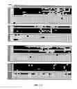 Fig. 02 - Methods for amplifying DNA from the promoter of the NDRG4 gene DNA obtained from a fecal sample