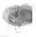 Fig. 06 - Injector plate for a rocket engine