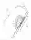 Fig. 04 - Thin fan with axial airgap
