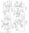 Fig. 13 - Staple