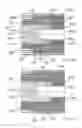 Fig. 08 - Multi deflection canted coil springs and related methods