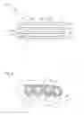 Fig. 02 - Silent chain