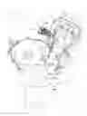 Fig. 01 - Hydraulic tensioner device