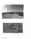 Fig. 02 - Adaptive visual camouflage