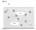 Fig. 02 - MOLECULARLY IMPRINTED POLYMER SENSORS