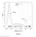 Fig. 05 - Methods and compositions for detecting endometrial or ovarian cancer