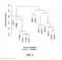 Fig. 08 - Methods and compositions for detecting endometrial or ovarian cancer