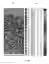 Fig. 07 - THREE/FOUR DIMENSIONAL IMAGING FOR BIG OILFIELD DATA