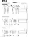 Fig. 09 - Projection zoom lens and projection type display device