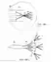 Fig. 52 - USING A PLURALITY OF WAVEGUIDES COUPLED WITH EDGE REFLECTORS FOR AUGMENTED OR VIRTUAL REALITY
