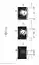 Fig. 03 - APPARATUS AND METHOD FOR RECOGNIZING USER GESTURE FOR VEHICLE