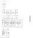 Fig. 15 - SYSTEM FOR REFERRING TO AND/OR EMBEDDING POSTS WITHIN OTHER POST AND POSTS WITHIN ANY PART OF ANOTHER POST
