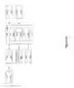 Fig. 17 - SYSTEM FOR REFERRING TO AND/OR EMBEDDING POSTS WITHIN OTHER POST AND POSTS WITHIN ANY PART OF ANOTHER POST